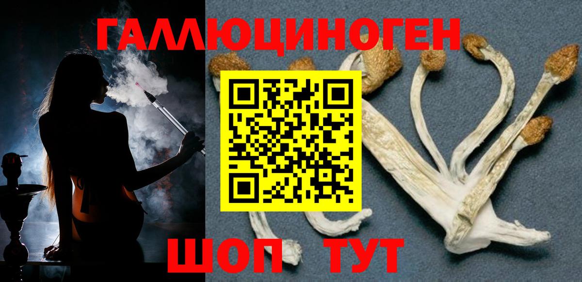 Тосно  Галлюциногенные грибы Psilocybine cubensis  Вход с VPN 